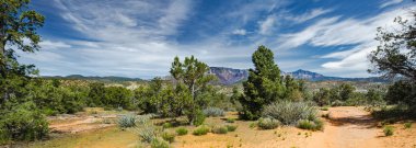 Dixie National Forest near Yant Flat sandstone formations in Utah, USA. Exploring the American Southwest.