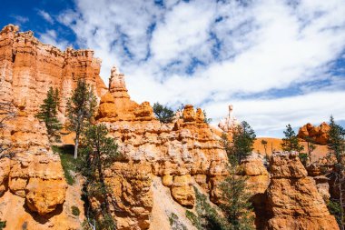 Scenic view of stunning red sandstone hoodoos in Bryce Canyon National Park in Utah, USA. Exploring the American Southwest.