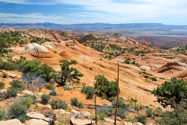 Scenic View Marvelous Red White Sandstone Formations Yant Flat Utah — Stock Photo, Image