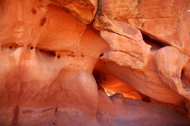 Amazing details of sandstone formations in Valley of Fire State Park, Nevada, USA. Exploring the American Southwest.