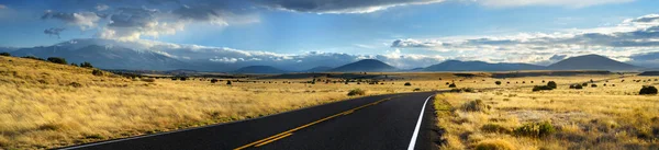 美丽无尽的波浪形道路在亚利桑那州的沙漠 探索美国西南部 — 图库照片