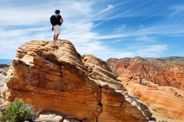 Young male hiker admiring the scenic view of marvelous red and white sandstone formations of Yant Flat in Utah, USA. Exploring the American Southwest.