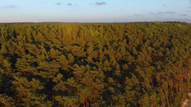 Hollandaca Cap havadan görünümü, Baltık Denizi kıyısında güzel ve eşsiz bir yer, Klaipeda kasabası yakınlarında bulunan sahil buzulu tarafından oluşturulan moraine sırtEn yüksek doruk noktası, Litvanya