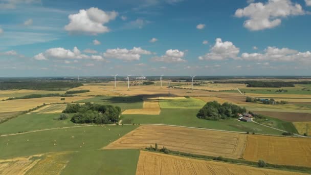 Légi Kilátás Forgó Szélturbinák Villamosenergia Termelő Található Litvániában Gyönyörű Nyári — Stock videók