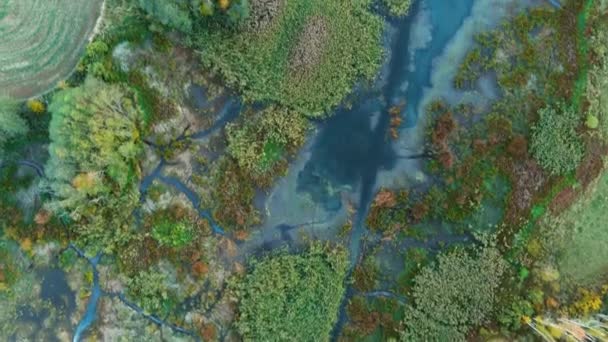 Aerial Autumn View Forest Boggy Terrain Vicinity Kirkilai Karst Lakelets — Stockvideo
