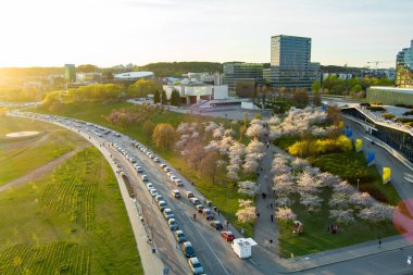 VILNIUS, LITHUANIA - 2022: Vilnius şehir merkezinde çiçek açan sakura parkının güzel hava manzarası. Sugihara kiraz ağacı bahçesi güneşli bir nisan sabahı çiçek açıyor. Litvanya, Vilnius 'ta İlkbahar.