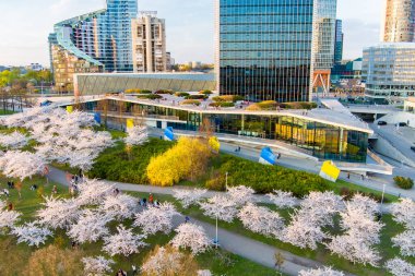 VILNIUS, LITHUANIA - 2022: Vilnius şehir merkezinde çiçek açan sakura parkının güzel hava manzarası. Sugihara kiraz ağacı bahçesi güneşli bir nisan sabahı çiçek açıyor. Litvanya, Vilnius 'ta İlkbahar.