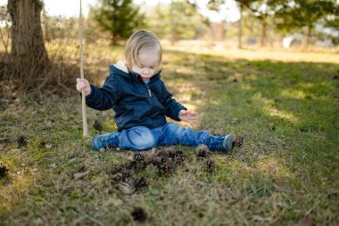 Güneşli bahar gününde dışarıda çam kozalaklarıyla oynayan tatlı bir çocuk. Doğayı keşfeden çocuk. Küçük çocuklar için erken bahar aktiviteleri.