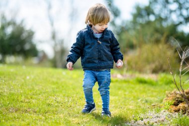 Güneşli bahar gününde dışarıda oynayan tatlı bir çocuk. Doğayı keşfeden çocuk. Küçük çocuklar için bahar etkinlikleri.