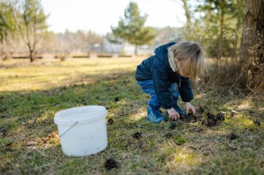 Güneşli bahar gününde dışarıda çam kozalaklarıyla oynayan tatlı bir çocuk. Doğayı keşfeden çocuk. Küçük çocuklar için erken bahar aktiviteleri.