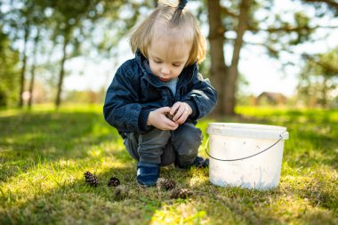 Güneşli bahar gününde dışarıda çam kozalaklarıyla oynayan tatlı bir çocuk. Doğayı keşfeden çocuk. Küçük çocuklar için erken bahar aktiviteleri.