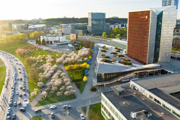 Vilnius Lithuania April 2022 Prachtig Uitzicht Bloeiende Sakura Park Het — Stockfoto