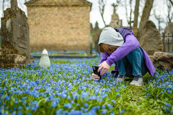 Девочка Подросток Фотографирует Весенние Цветы Сиберика Цветущие Апреле Кладбище Бернардин — стоковое фото