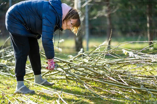Jardineiro Mulher Usando Tesouras Poda Para Cortar Galhos Árvores Secas — Fotografia de Stock