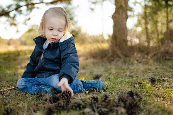 Anak Laki Laki Lucu Bermain Dengan Kerucut Pinus Luar Ruangan — Stok Foto