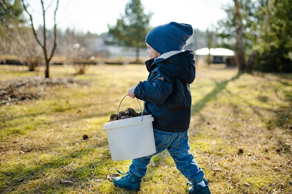 Cute Toddler Boy Playing Pine Cones Outdoors Sunny Spring Day — Stock Photo, Image