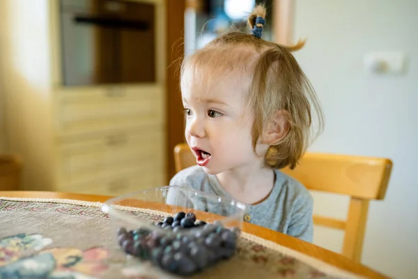 可爱的小孩在家里吃蓝莓 婴儿新鲜的有机水果 有子女家庭的健康营养 — 图库照片