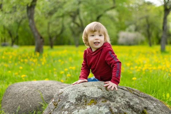 Roztomilý Batole Chlapec Baví Kvetoucí Jablečný Sad Teplém Jarním Dni — Stock fotografie