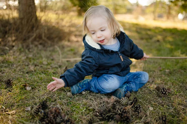 Милий Маленький Хлопчик Грає Сосновими Шишками Відкритому Повітрі Сонячний Весняний — стокове фото