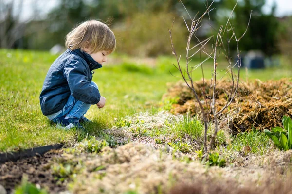 可爱的幼儿在阳光明媚的春天在户外玩耍 儿童探索自然 幼儿春季活动 — 图库照片