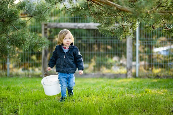 Cute Toddler Boy Playing Outdoors Sunny Spring Day Child Exploring — Stock Photo, Image