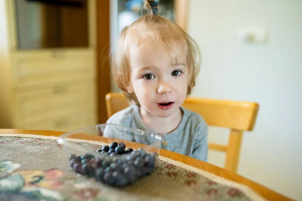 Bonito Menino Criança Comendo Mirtilos Casa Frutite Orgânica Fresca Para — Fotografia de Stock
