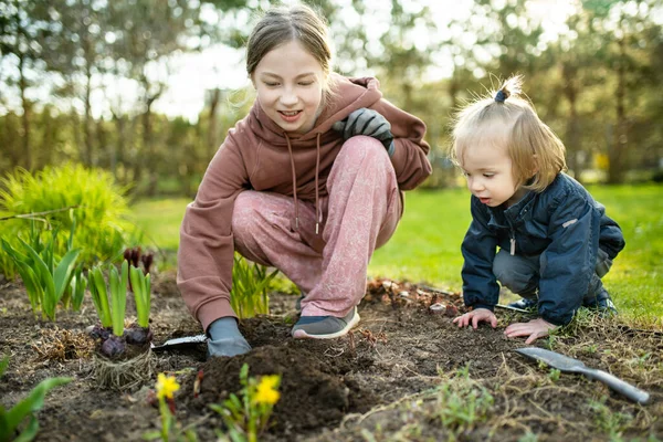 Big Sister Her Toddler Brother Planting Hyacinth Flowers Spring Day — Stock Photo, Image