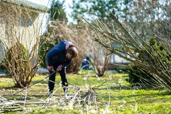 Žena Zahradník Pomocí Prořezávání Nůžky Řezat Suché Větve Stromů Jarní — Stock fotografie