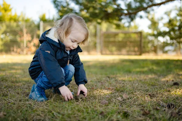 밖에서 솔방울을 가지고 귀여운아이 아이들은 자연을 합니다 아이들을 — 스톡 사진