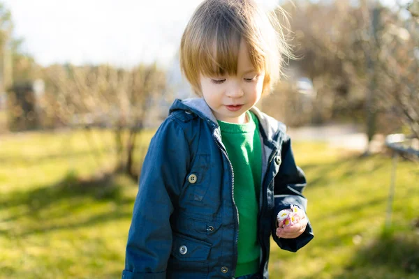 Cute Toddler Boy Picking Daisies Outdoors Sunny Spring Day Child — Stock Photo, Image