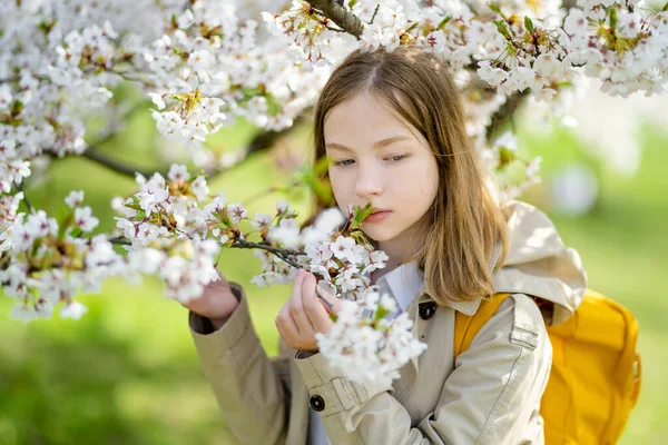 美しい春の日に桜の庭を開花中の愛らしい若い女の子 春に新鮮な桜を摘むかわいい子供 自然を探検する子供 — ストック写真