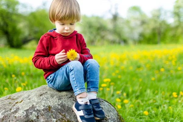 Küçük Tatlı Çocuk Bahar Gününde Çiçek Açan Elma Bahçesinde Eğleniyor — Stok fotoğraf