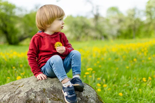Милий Маленький Хлопчик Розважається Квітучому Яблучному Саду Теплий Весняний День — стокове фото