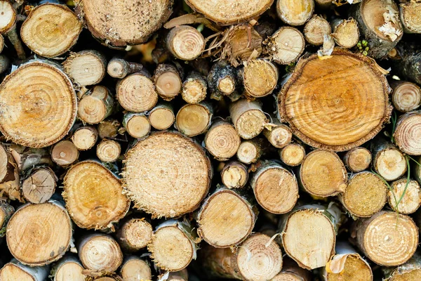 Background Dry Chopped Firewood Logs Stacked Top Each Other Pile — Stock Photo, Image