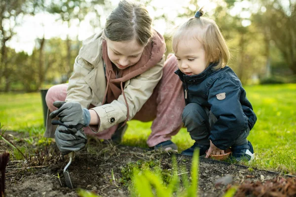 Big Sister Her Toddler Brother Planting Hyacinth Flowers Spring Day — Stock Photo, Image