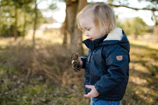Anak Laki Laki Lucu Bermain Dengan Kerucut Pinus Luar Ruangan — Stok Foto