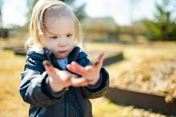 彼の汚い小さな手を示す面白い幼児の少年 裏庭で遊んでいる間に子供は汚れてしまう メッシーゲーム屋外 — ストック写真