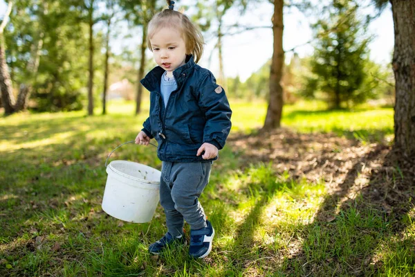 Cute Toddler Boy Playing Pine Cones Outdoors Sunny Spring Day — Stock Photo, Image