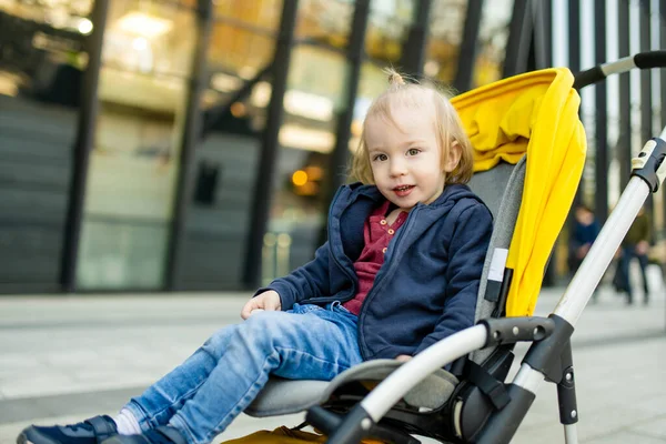 Lieve Peuter Jongen Zit Een Kinderwagen Buiten Klein Kind Kinderwagen — Stockfoto