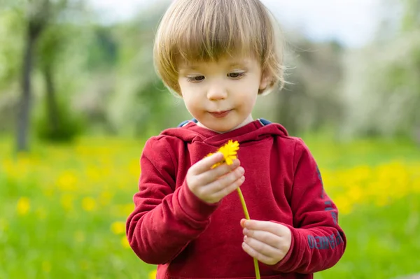 Ragazzo Bambino Carino Divertirsi Nel Frutteto Mele Fiore Nella Calda — Foto Stock
