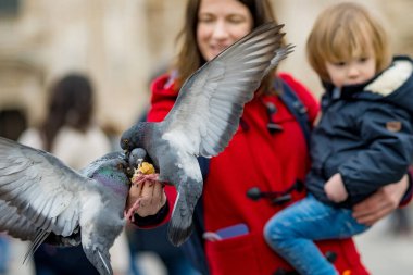 Genç anne ve küçük oğlu İtalya 'nın başkenti Milan' daki Katedral Meydanı veya Piazza del Duomo 'da güvercinleri besliyor..