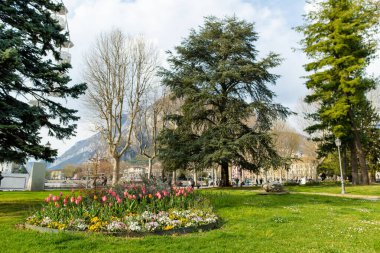 İlkbahar günü Lecco kasabasının şehir parkında renkli laleler çiçek açıyor. Lecco 'nun ünlü Como Gölü ve Bergamo Alp Dağları arasında bulunan Picturesque rıhtımı. İtalya 'da tatil beldesi.