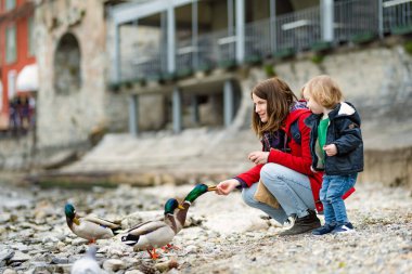 Annesi ve küçük oğlu, Como Gölü kıyısındaki en pitoresk kasabalardan biri olan Varenna 'da ördek besliyor. Tipik İtalyan atmosferiyle büyüleyici bir yer. Varenna, Lombardy, İtalya.