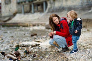 Annesi ve küçük oğlu, Como Gölü kıyısındaki en pitoresk kasabalardan biri olan Varenna 'da ördek besliyor. Tipik İtalyan atmosferiyle büyüleyici bir yer. Varenna, Lombardy, İtalya.
