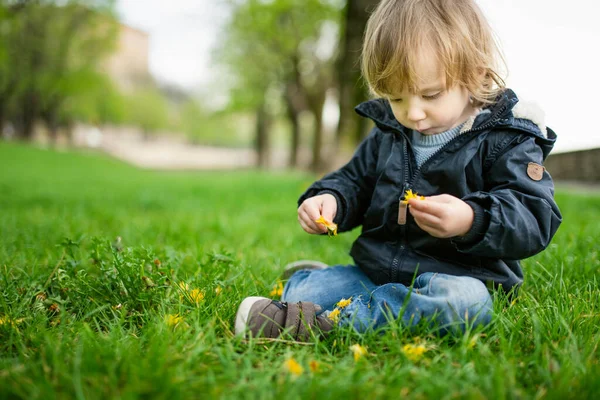 Leuke Peuter Die Het Gras Speelt Bergamo Een Klein Kind — Stockfoto