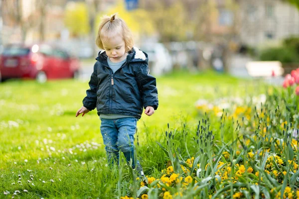 Leuke Peuter Jongen Bewonderen Kleurrijke Tulpen Bloeien Het Stadspark Van — Stockfoto