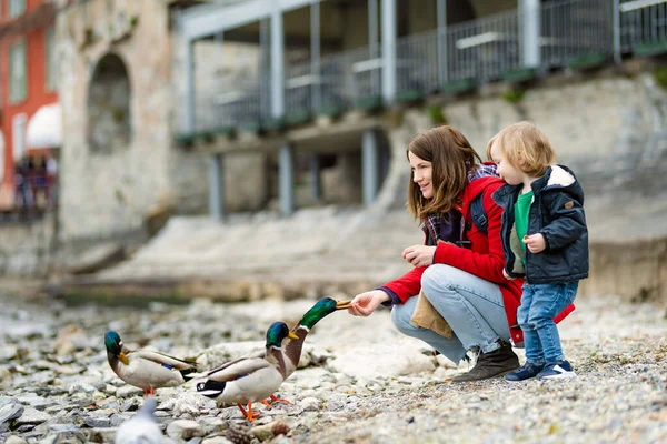 Mother Her Toddler Son Feeding Ducks Varenna One Most Picturesque — Stock Photo, Image