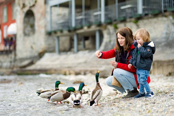 妈妈和她蹒跚学步的儿子在瓦伦纳喂鸭 瓦伦纳是科莫湖畔风景最优美的城镇之一 迷人的位置与典型的意大利氛围 Varenna Lombardy 意大利 — 图库照片