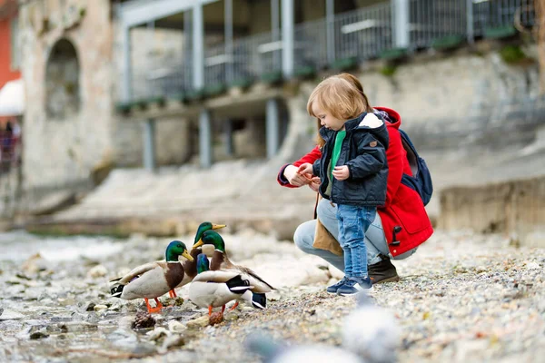 Mãe Seu Filho Criança Alimentando Patos Varenna Uma Das Cidades — Fotografia de Stock