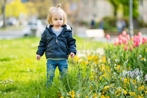 春の日にレッコ町の都市公園で咲くカラフルなチューリップを賞賛するかわいい幼児の少年 コモ湖の海岸に位置するレッコの絵のようなウォーターフロント イタリアの休暇先 — ストック写真